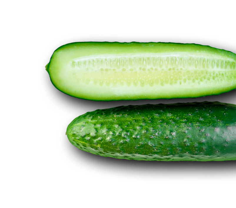 An image of a pickle cut in half.